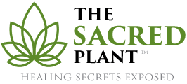 The Sacred Plant/Dr. Dustin Sulak